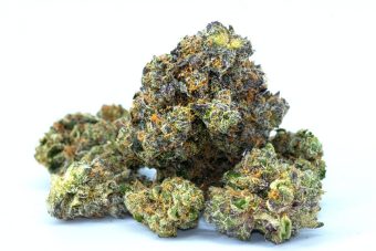 Cotton Candy Kush